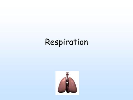 Respiration. Cells - energy to do work - stored as organic molecules - broken down to get energy. 2 ways - 1 in absence of oxygen (fermentation). Other.