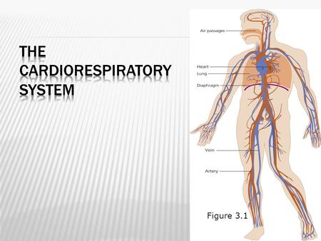 © McGraw-Hill Higher Education. All Rights Reserved Figure 3.1.