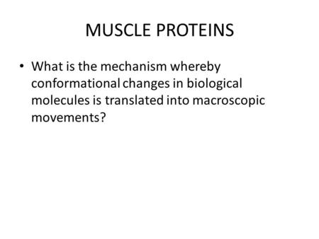 MUSCLE PROTEINS What is the mechanism whereby conformational changes in biological molecules is translated into macroscopic movements?