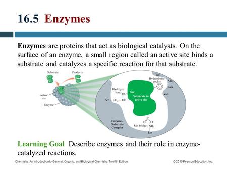 Chemistry: An Introduction to General, Organic, and Biological Chemistry, Twelfth Edition© 2015 Pearson Education, Inc. 16.5 Enzymes Enzymes are proteins.