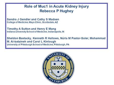 Role of Muc1 in Acute Kidney Injury Rebecca P Hughey Sandra J Gendler and Cathy S Madsen College of Medicine, Mayo Clinic, Scottsdale, AZ Timothy A Sutton.