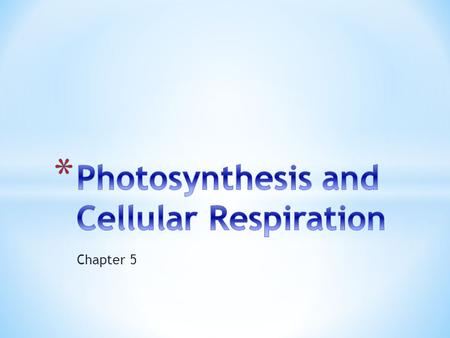 Photosynthesis and Cellular Respiration