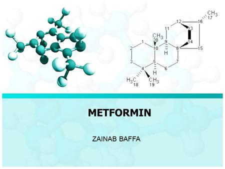 METFORMIN ZAINAB BAFFA.