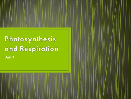 Photosynthesis and Respiration