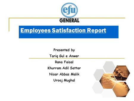 Employees Satisfaction Report