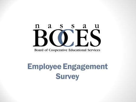 Employee Engagement Survey