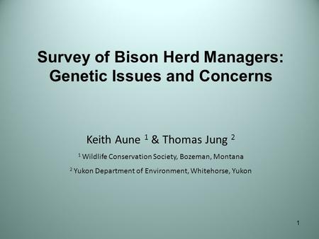 1 Keith Aune 1 & Thomas Jung 2 1 Wildlife Conservation Society, Bozeman, Montana 2 Yukon Department of Environment, Whitehorse, Yukon Survey of Bison Herd.