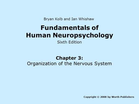 Fundamentals of Human Neuropsychology