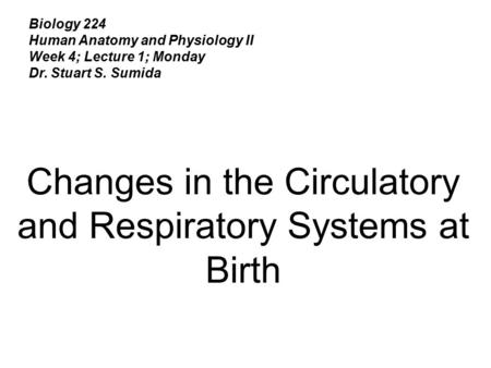 Changes in the Circulatory and Respiratory Systems at Birth