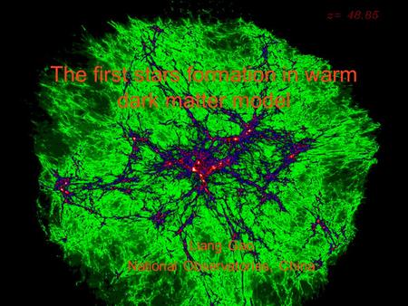 The first stars formation in warm dark matter model Liang Gao National Observatories, China.