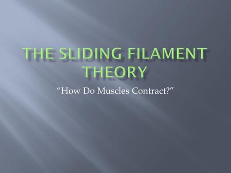 The Sliding Filament Theory