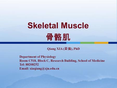 Skeletal Muscle 骨骼肌 Qiang XIA ( 夏强 ), PhD Department of Physiology Room C518, Block C, Research Building, School of Medicine Tel: 88208252