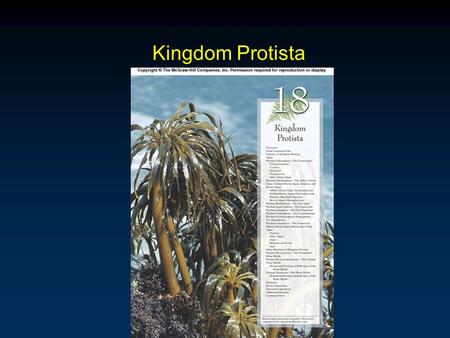 Kingdom Protista.