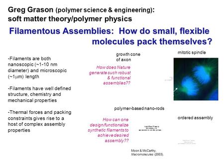 Greg Grason (polymer science & engineering) : soft matter theory/polymer physics Filamentous Assemblies: How do small, flexible molecules pack themselves?