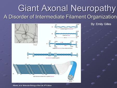 Giant Axonal Neuropathy