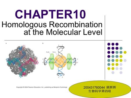 Homologous Recombination at the Molecular Level