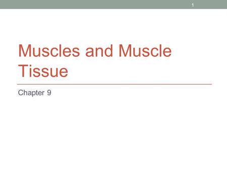 Muscles and Muscle Tissue