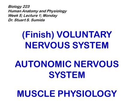 Biology 223 Human Anatomy and Physiology Week 5; Lecture 1; Monday Dr. Stuart S. Sumida (Finish) VOLUNTARY NERVOUS SYSTEM AUTONOMIC NERVOUS SYSTEM MUSCLE.