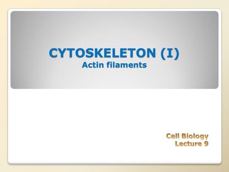 CYTOSKELETON (I) Actin filaments