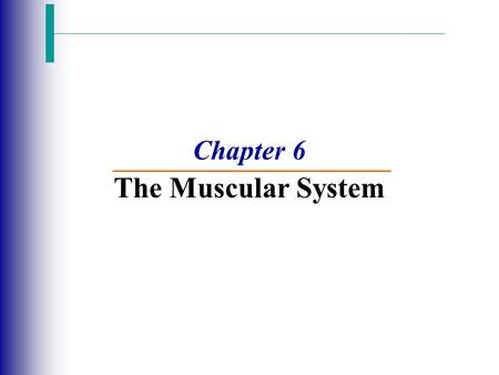 Chapter 6 The Muscular System