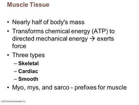 Nearly half of body's mass