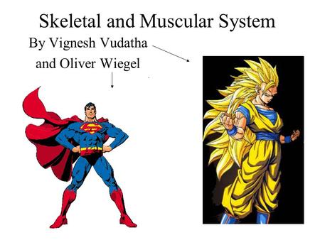 Skeletal and Muscular System By Vignesh Vudatha and Oliver Wiegel.