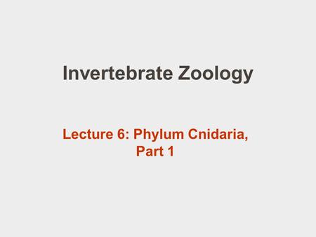 Lecture 6: Phylum Cnidaria, Part 1