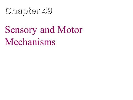 Sensory and Motor Mechanisms