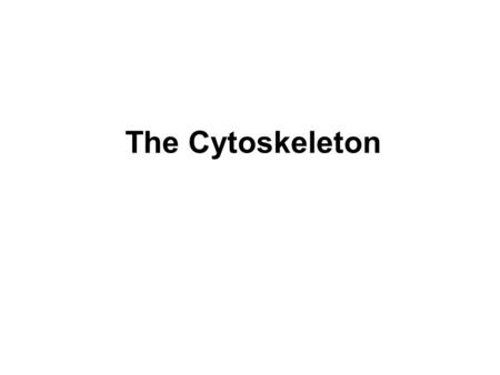 The Cytoskeleton. Intermediate Filaments 8-10 nm in diameter Four types: basis of aa sequence actin & tubulin -> globular protein, cell type.