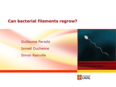 Can bacterial filaments regrow? Namba Protonic NanoMachine Project Osaka Univsersity, Japan. Guillaume Paradis Ismaël Duchesne Simon Rainville.