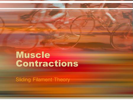 Sliding Filament Theory