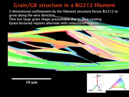 The Applied Superconductivity Center The National High Magnetic Field Laboratory - FSU Grain/GB structure in a Bi2212 filament 10 µm 2-dimentional confinement.