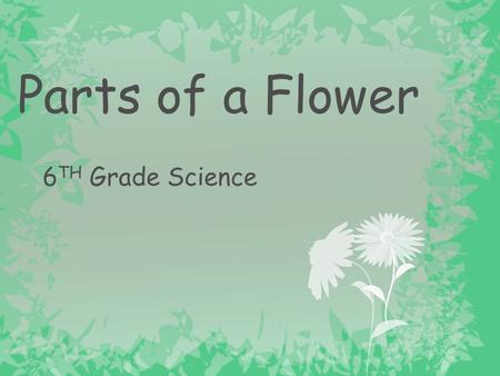 Parts of a Flower 6TH Grade Science.