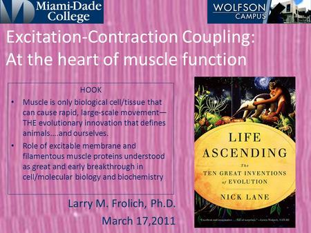 Excitation-Contraction Coupling: At the heart of muscle function Larry M. Frolich, Ph.D. March 17,2011 HOOK Muscle is only biological cell/tissue that.