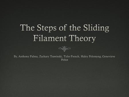 The Steps of the Sliding Filament Theory