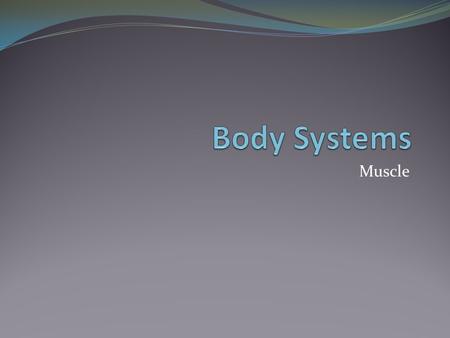 Muscle. 3 Types of muscle Smooth- line the walls of internal organs and blood vessels. Involuntary movement. Skeletal- striated, allow for movement, voluntary.