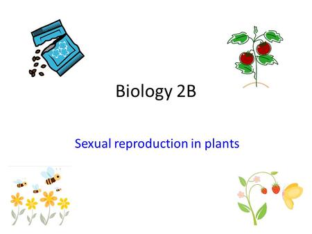 Sexual reproduction in plants