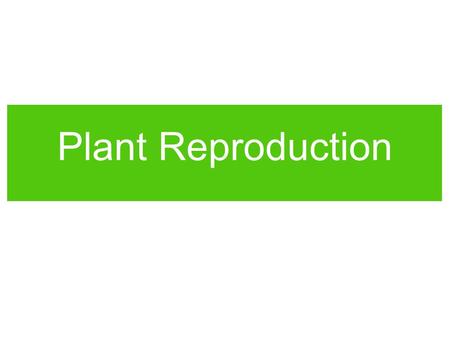 Plant Reproduction.