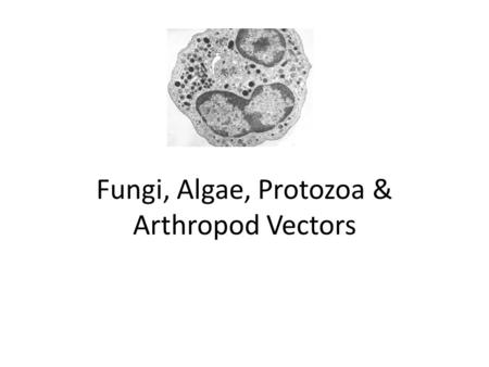 Fungi, Algae, Protozoa & Arthropod Vectors. Fungi Ubiquitous! Have a cell wall = chitin Are eukaryotes Have a true nucleus Reproduce sexually + asexually.