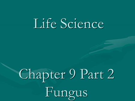 Life Science Chapter 9 Part 2 Fungus. Fungi water molds, bread molds, Sac fungi, yeasts, mushrooms and Penicillium sp. Usually require moist, dark and.