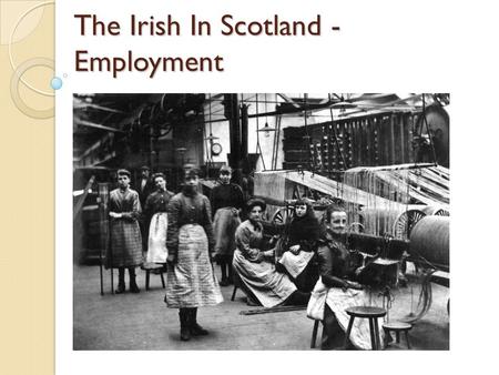 The Irish In Scotland - Employment