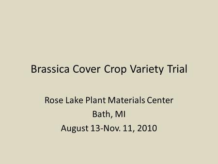 Brassica Cover Crop Variety Trial Rose Lake Plant Materials Center Bath, MI August 13-Nov. 11, 2010.