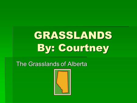 GRASSLANDS By: Courtney