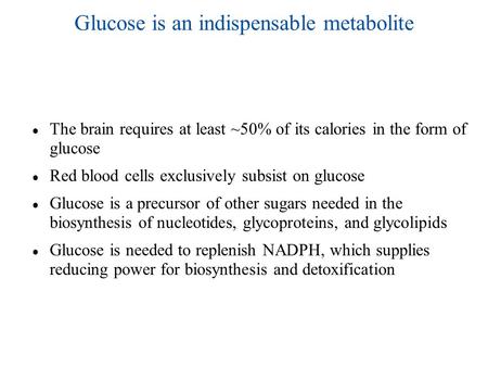 Glucose is an indispensable metabolite ● The brain requires at least ~50% of its calories in the form of glucose ● Red blood cells exclusively subsist.