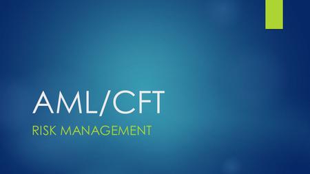 AML/CFT RISK MANAGEMENT.