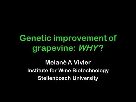 Genetic improvement of grapevine: WHY ? Melané A Vivier Institute for Wine Biotechnology Stellenbosch University.