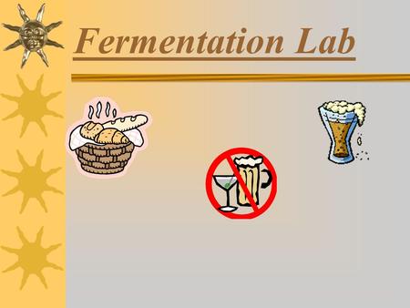 Fermentation Lab. Hypothesis: Which test tube will pop first? Purpose: To identify a common type of anaerobic respiration.