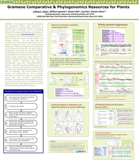 Gramene Comparative & Phylogenomics Resources for Plants Joshua C. Stein 1, William Spooner 1, Sharon Wei 1, Liya Ren 1, Doreen Ware 1,2 1 Cold Spring.