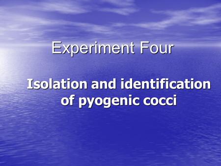 Isolation and identification of pyogenic cocci