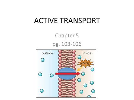 ACTIVE TRANSPORT Chapter 5 pg. 103-106. Active Transport Requires energy! Molecules move from an area of low concentration to an area of high concentration.